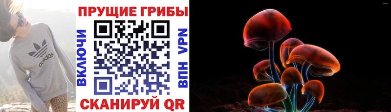 kraken вход  Серпухов  Галлюциногенные грибы MAGIC MUSHROOMS 