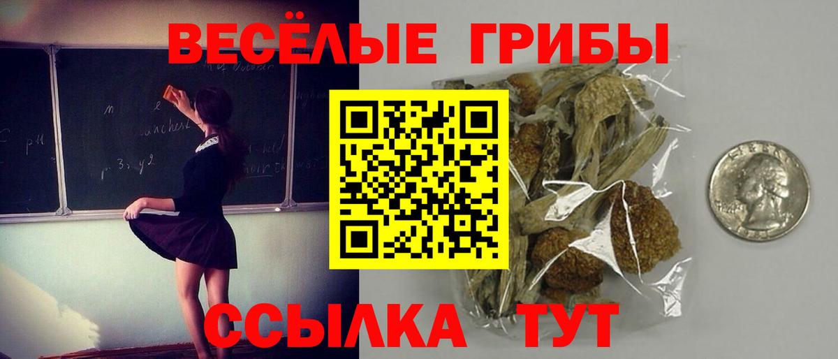 Галлюциногенные грибы Psilocybine cubensis Серпухов