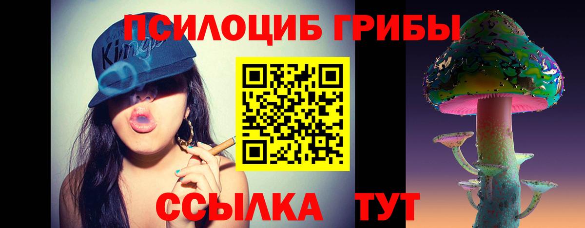 купить закладку  Вход с VPN  Серпухов  Галлюциногенные грибы Psilocybe  Псилоцибиновые грибы Psilocybe 